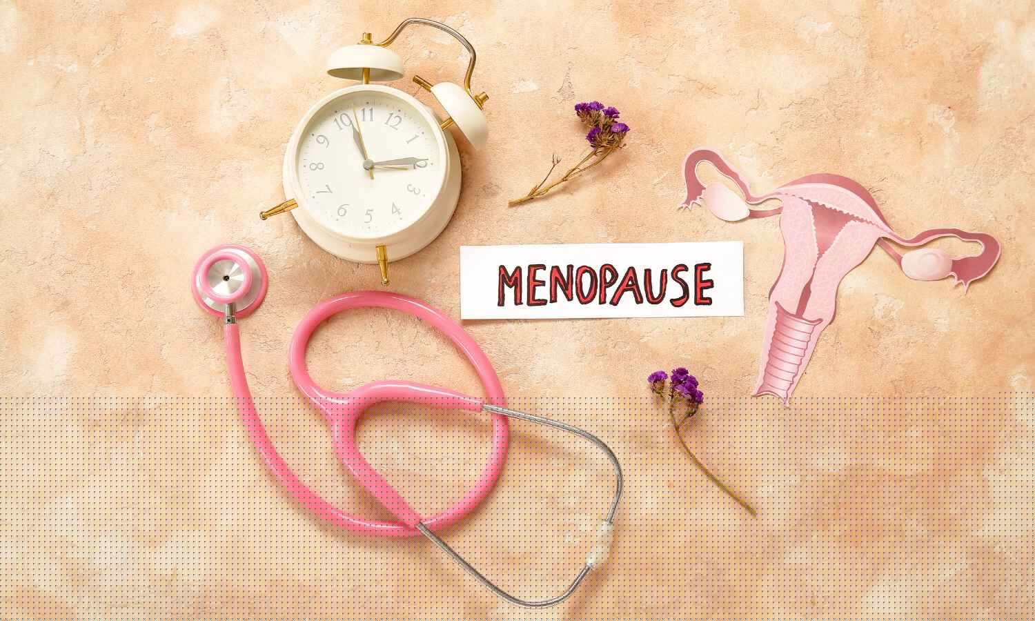Karnataka to Launch India's First Women's Health Policy to Prioritise Menopause