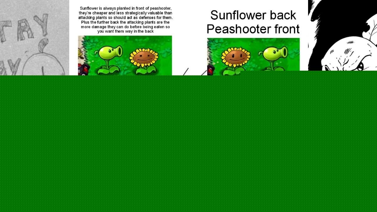 Sunflower Back, Peashooter Front