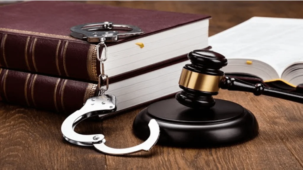 NCRB Report: Maharashtra Records Decline in Offences Against State, But Environmental Crimes Surge in 2023
