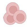World's first oral microbiome-based nanomedicine to supercharge anti-cancer immunity