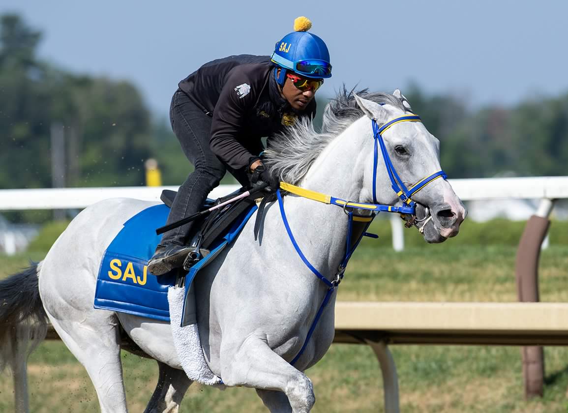 White Abarrio On Track for Third Whitney Appearance