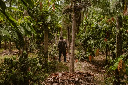 A just agricultural transition takes root in Brazil