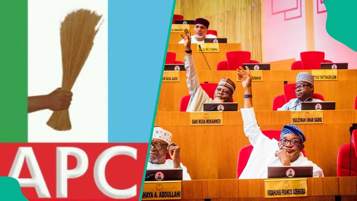Full list: 8 court cases involving APC over senatorial primaries