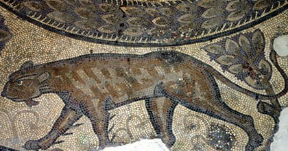 Roman mosaic fragments return to Cirencester after 200 years