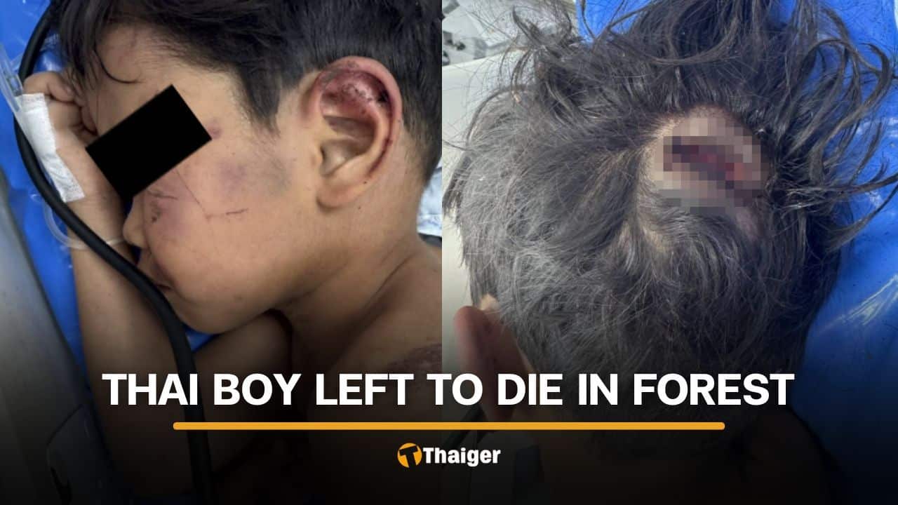 4 year old boy brutally assaulted by grandmother’s boyfriend