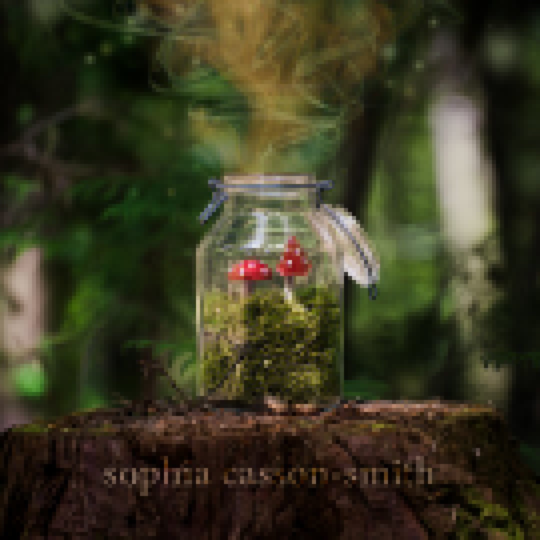 Sophia Casson-Smith - not with me (feat George Mercer)  (Lonely Road Picture Show)