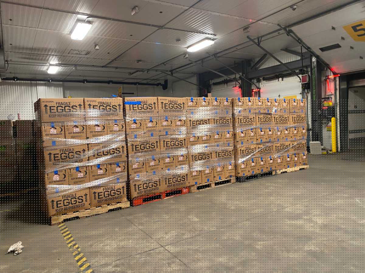 280,000 eggs to be delivered to NYC food banks in new settlement that says egg producers overcharged