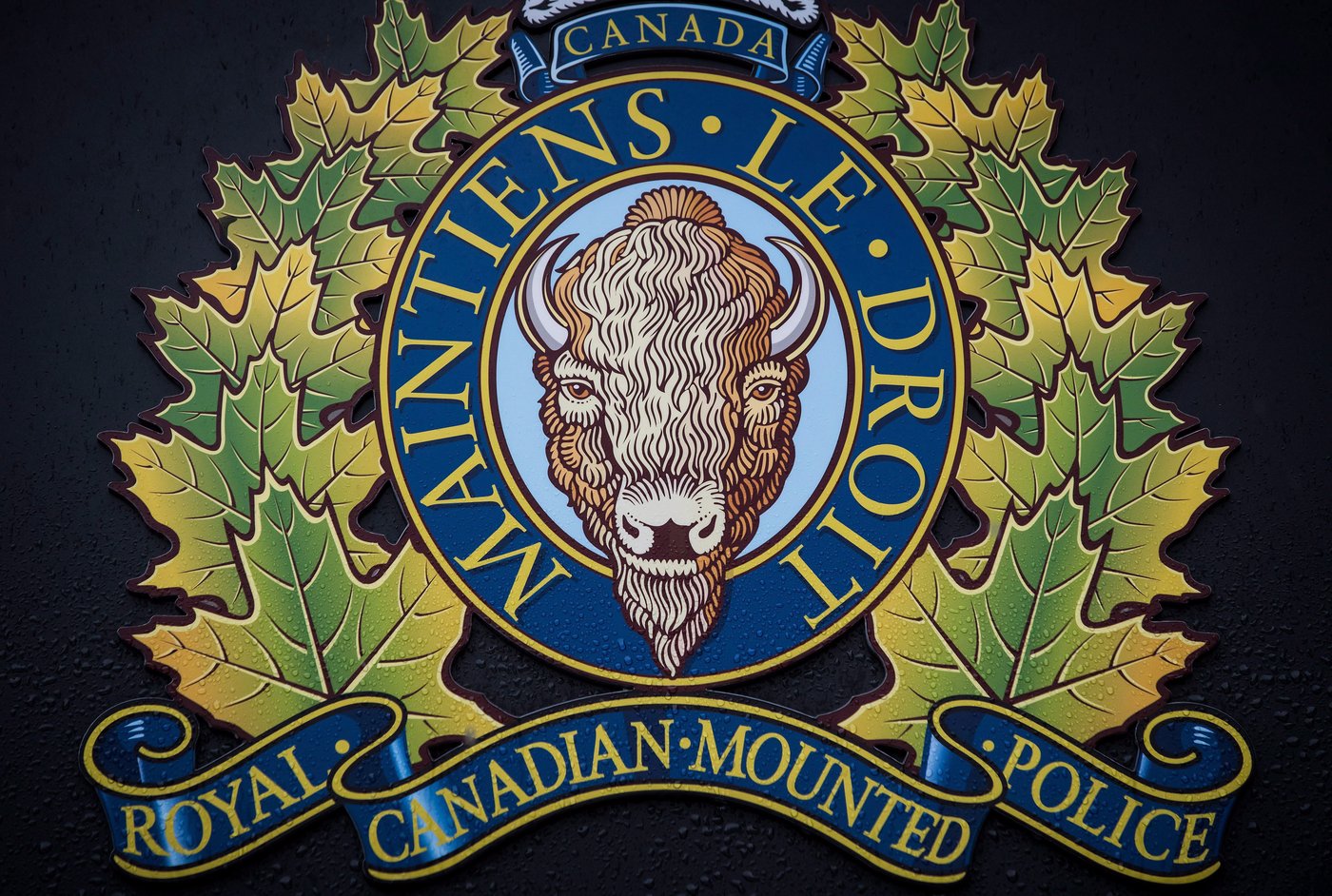 Body of 12-year-old found north of Edmonton: RCMP