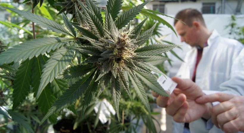 Comment on Feds Set to Reschedule Marijuana — A Double-Edged Sword for Medical Marijuana Advocates by อาหารเสริม