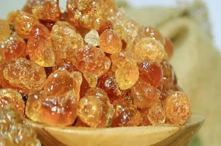 Renk County launches Gum Arabic production season to boost local economy