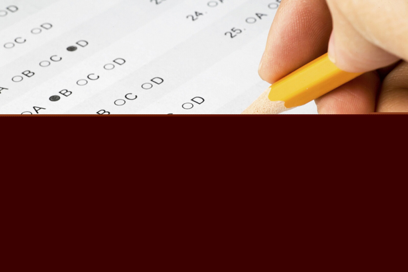 What do the MCA test scores mean and how should parents interpret them?