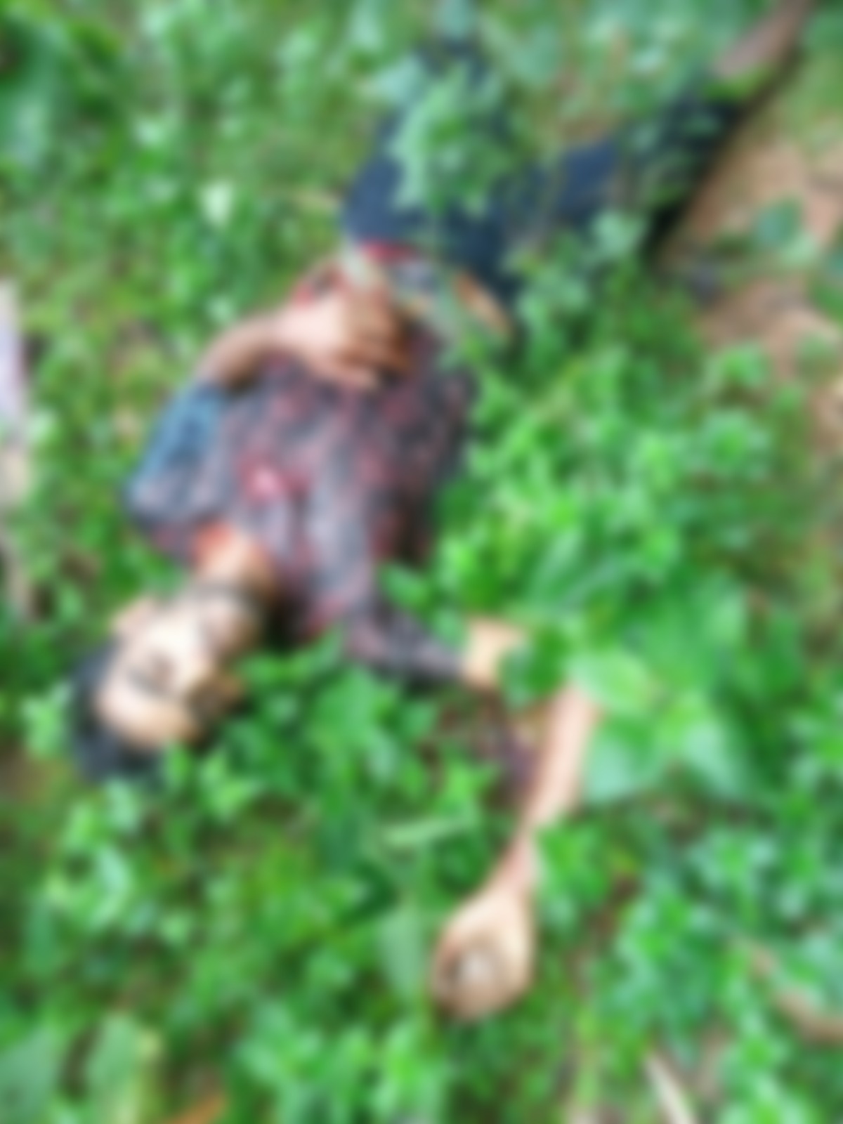 Tripura: Bangladeshi Youth Killed in BSF Firing at Kailashahar, Border Security Concerns Rise
