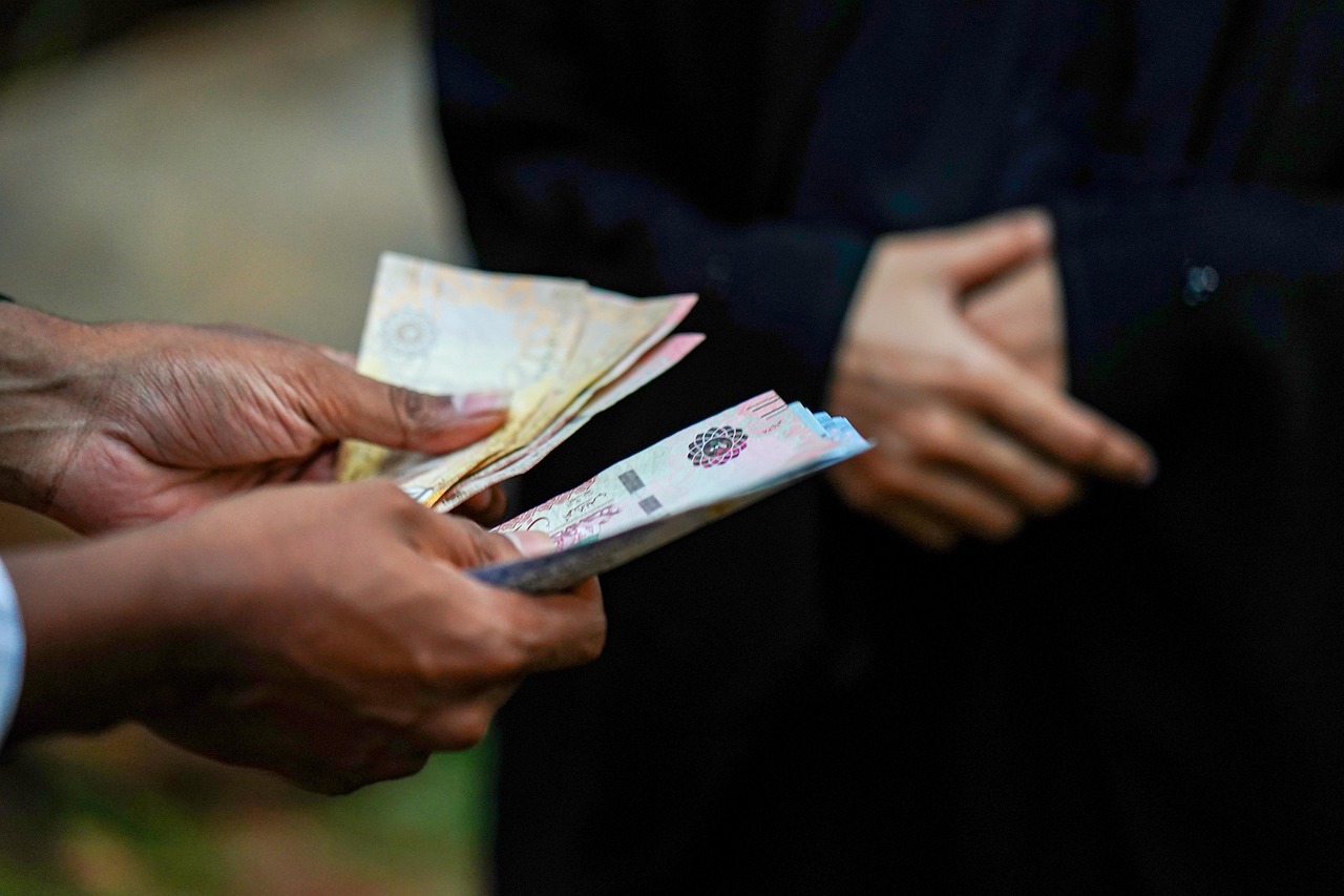 Schemă de ajutor în valoare 100 de milioane de euro pentru românii din diaspora care vor să deschidă afaceri în țară