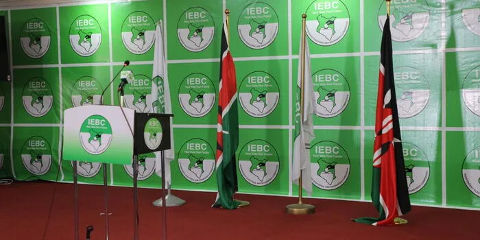 IEBC Appoints Ruth Kulundu as Acting CEO