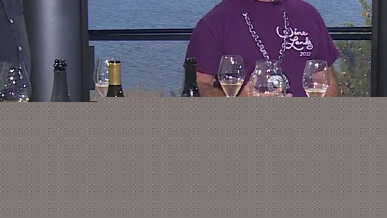 Wine Lands returns to Outside Lands next weekend
