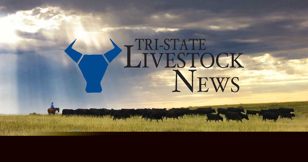 House passes three big bills, departs today