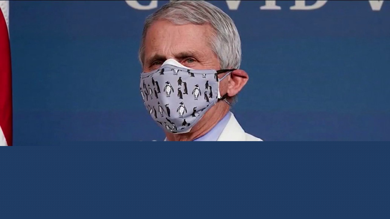 Dr. Fauci invokes Fifth Amendment over 100 times in COVID hearing
