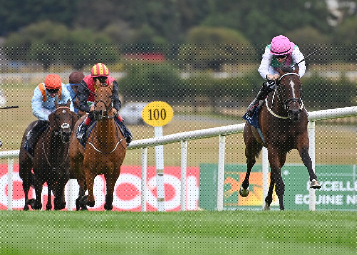Babouche’s Half-Sister Livenka Dominates The Ballyhane