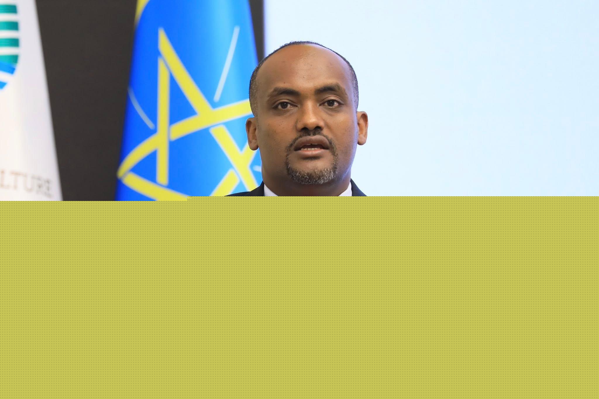የቡና ምርታማነትን በሔክታር ከ9 ኩንታል ወደ 21 ኩንታል ለማሳደግ እየተሰራ ነው ‎