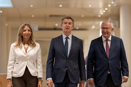 Feijóo anuncia que el PP llevará al Constitucional el bloqueo por parte del Congreso de las leyes aprobadas en el Senado