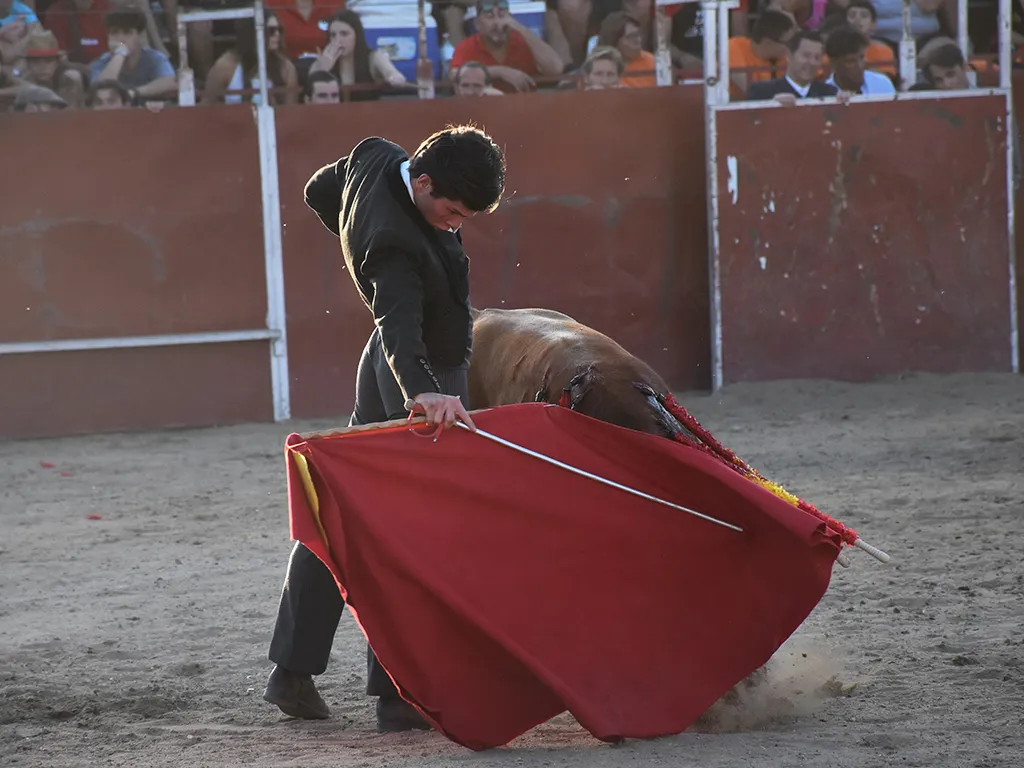 El momento de Oliva en el festival de toreo añejo de Navalmanzano