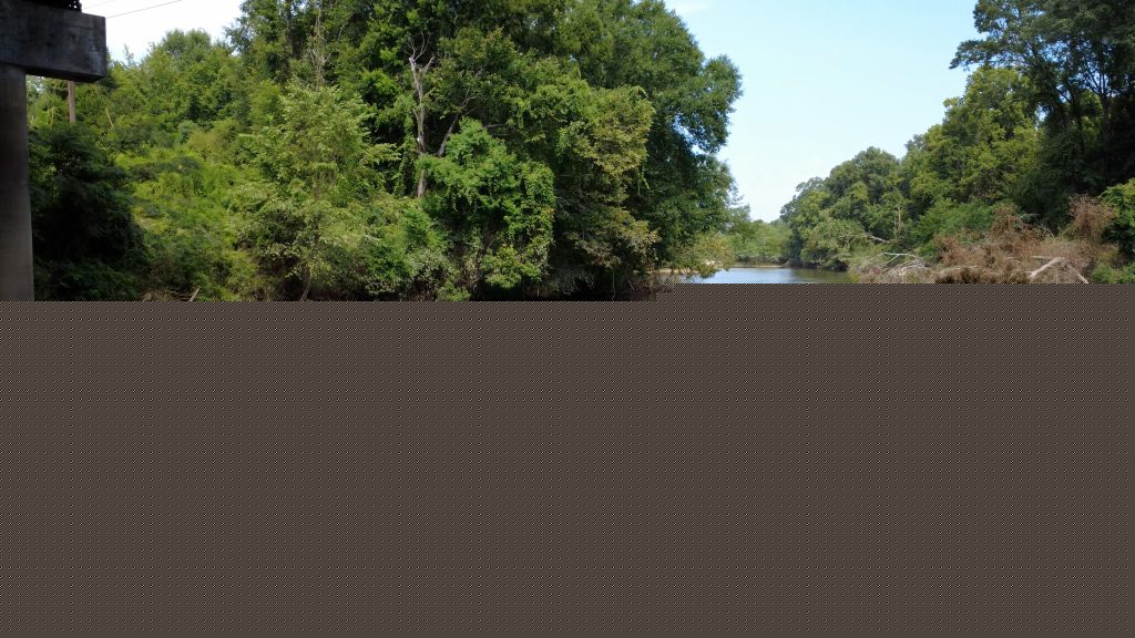Mississippi nonprofit expands alligator hunts for children with disabilities