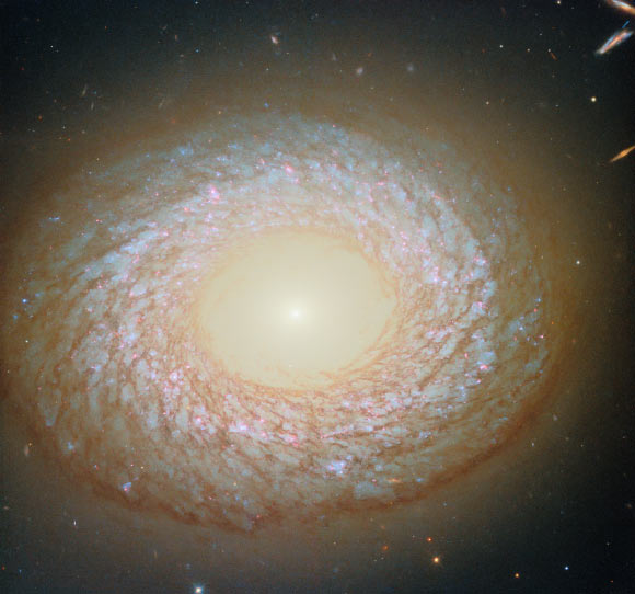 Hubble Space Telescope Captures New Image of NGC 2775