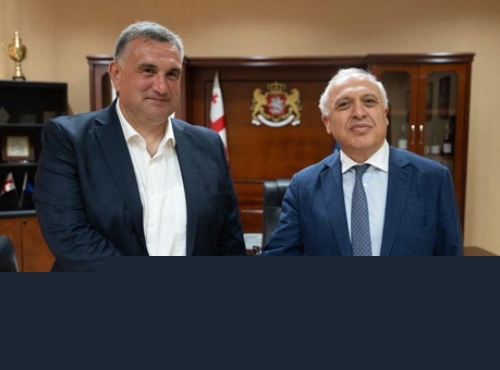 Armenian, Georgian officials address regional cooperation
