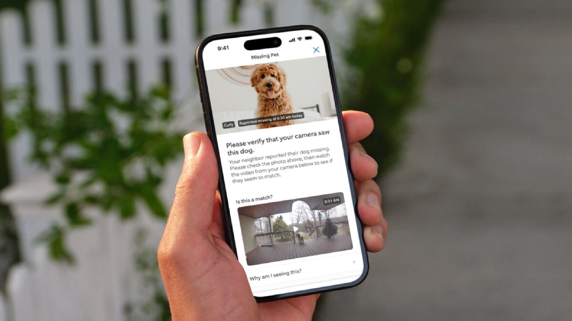 Ring's new Search Party feature can help you find your lost dog — here's how it works