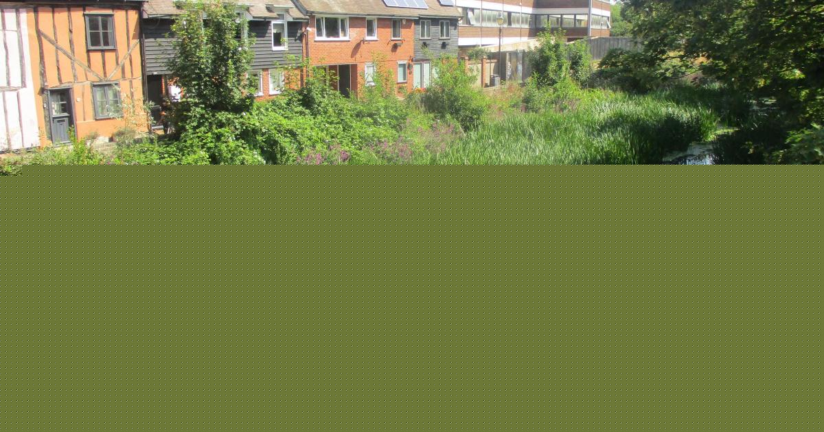 Concerns voiced about Colchester river's effect on wildlife