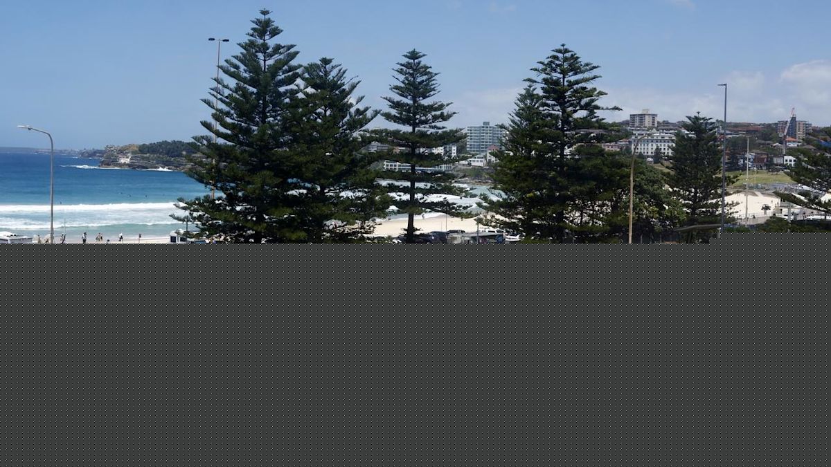 Woman charged over Bondi anti-Semitic slur
