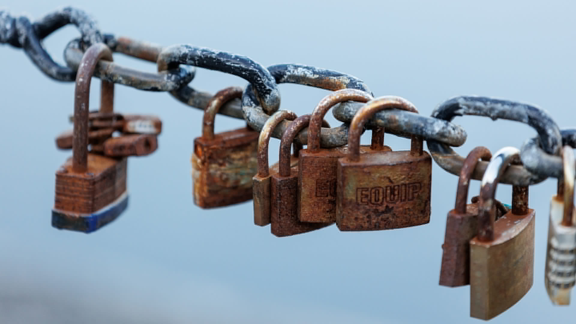 Episode 443 - The Supply Chain Security Crisis