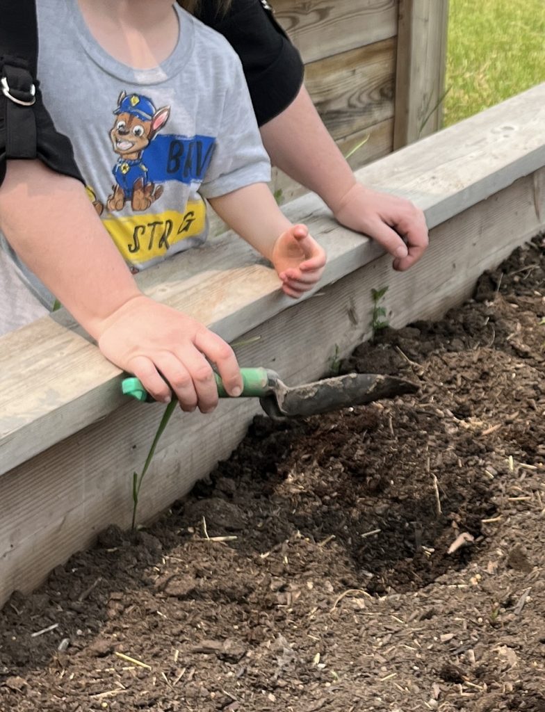 2025 Fall Homeland | After harvest: Preparing the garden for next year