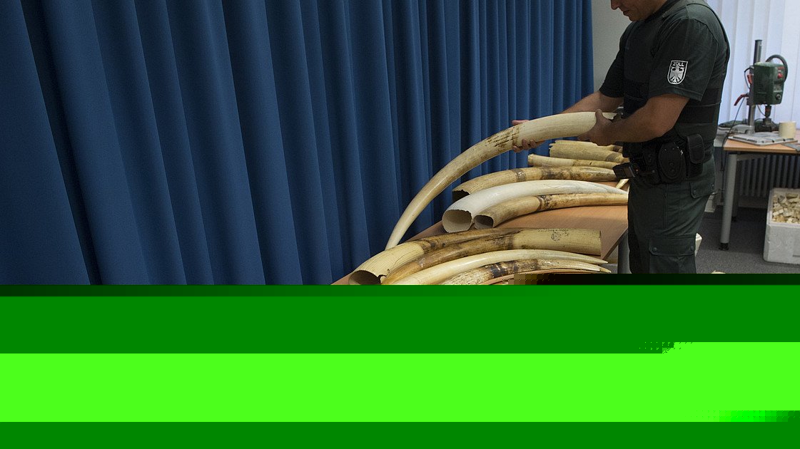 Hessisches Finanzgericht zum Anhänger im Reisegepäck: 56 Jahre alter Beleg macht Einfuhr von Elfenbein nicht rechtmäßig