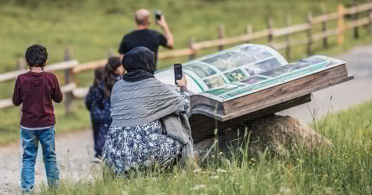 Sommer-Touristen - „Auf unseren Straßen sieht man weniger Araber“