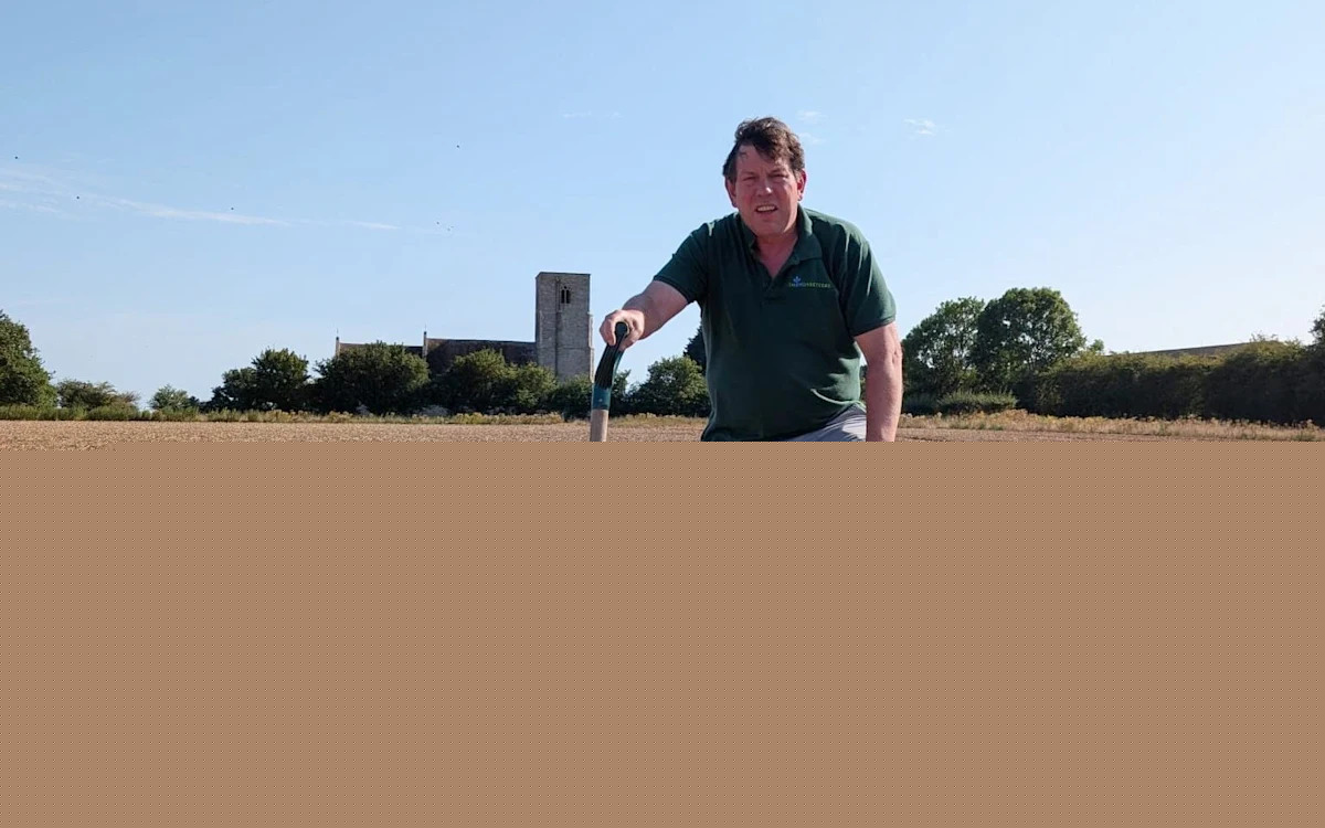 Heatwaves trigger potato crisis