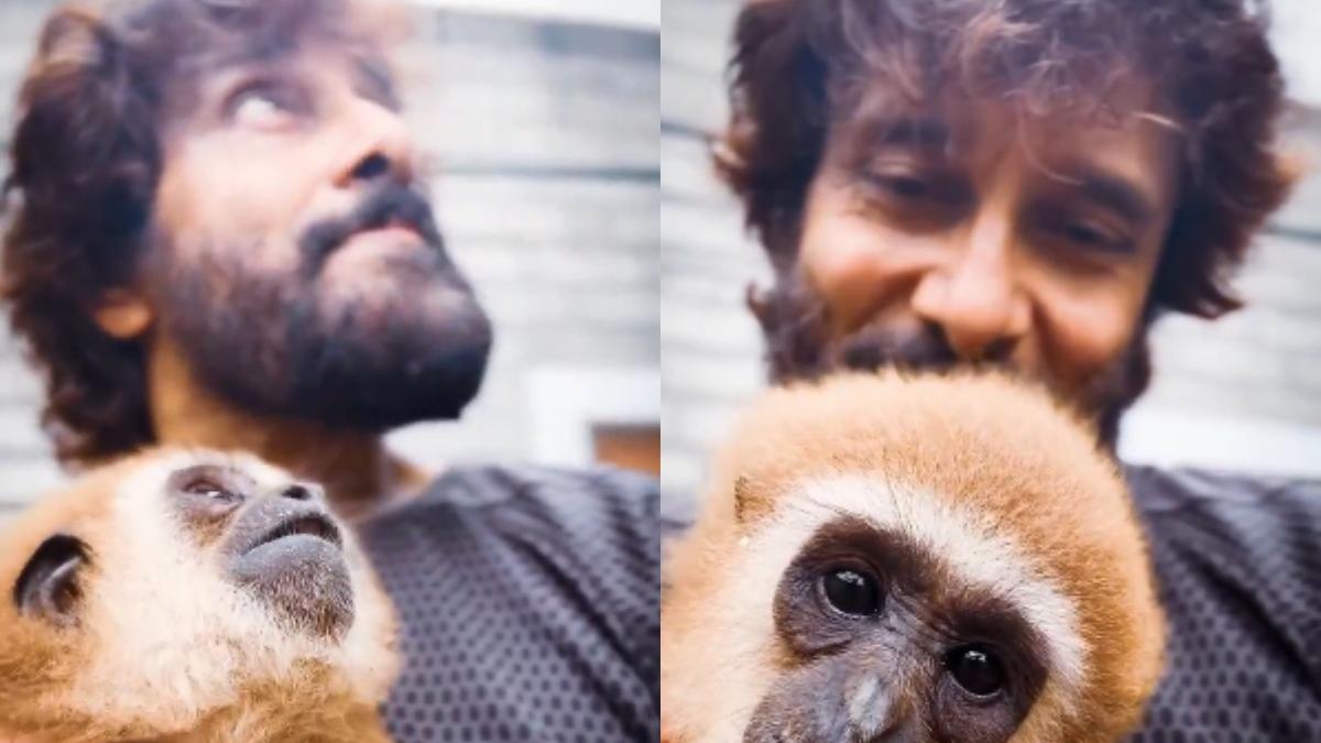 Chiyaan Vikram deletes Lar Gibbon video after wildlife concerns surface; What happened?