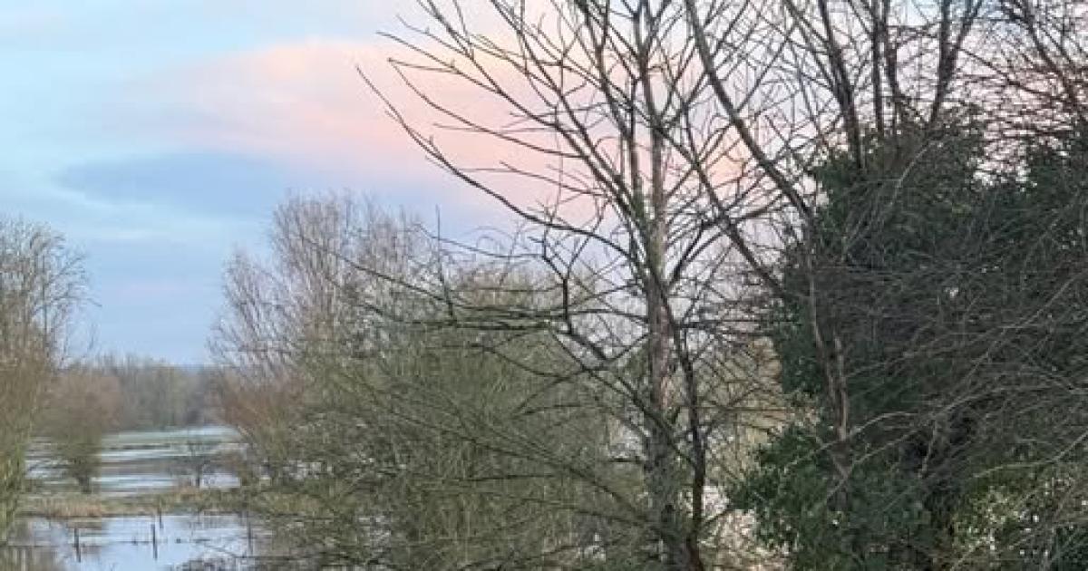 Monty Don's famous garden has been flooded - again