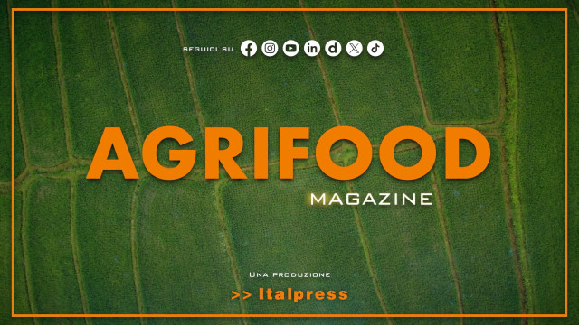 Agrifood Magazine – 29/7/2026