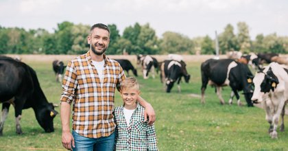 Two boys, a fence and a lesson about division in the Northern Ireland countryside