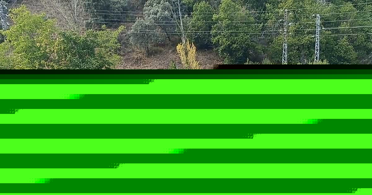 La ministra de Sanidad ayuda a reanimar a un bañista que se ahogaba en una piscina natural