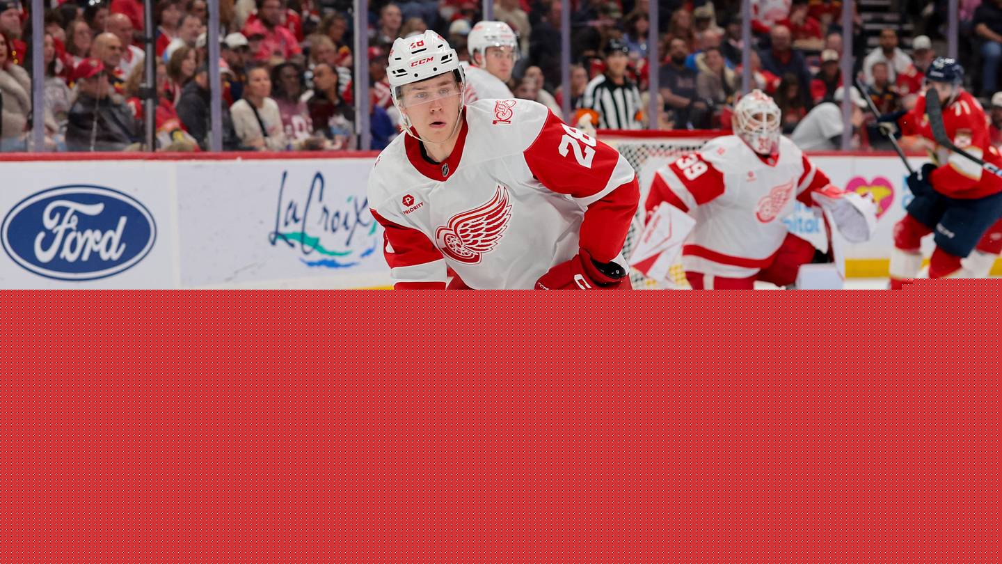 Ranking the Top 10 Prospects in the Detroit Red Wings System