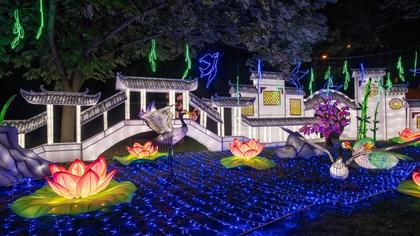 Asian Lantern Festival is back at Central Florida Zoo this November