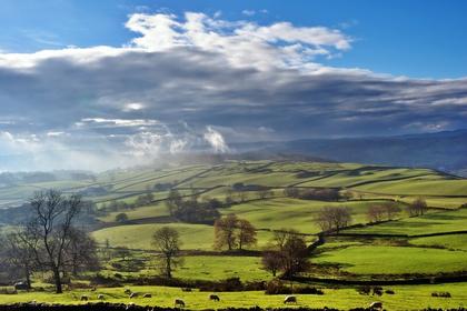 Labour is key to UK farm sustainability