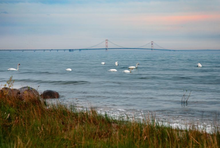 Environmental groups hail Line 5 decision