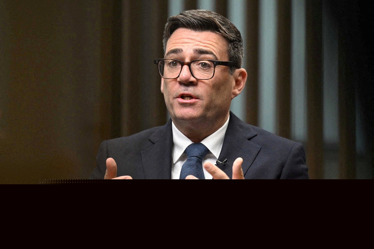 Burnham turns to Tories and Lib Dems for social care solutions: ‘Help me fix this’