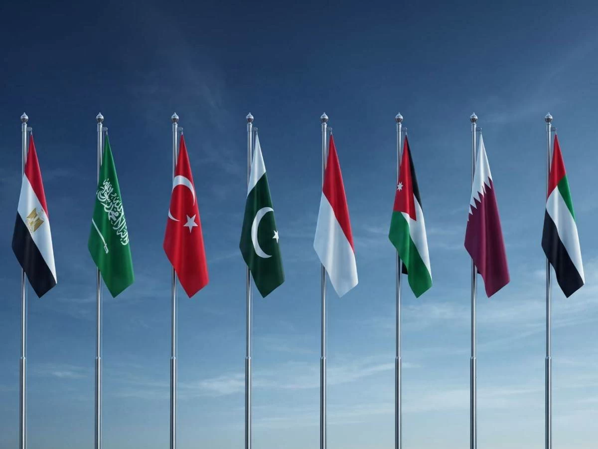 UAE, Arab and Islamic nations condemn Israeli violations in Gaza