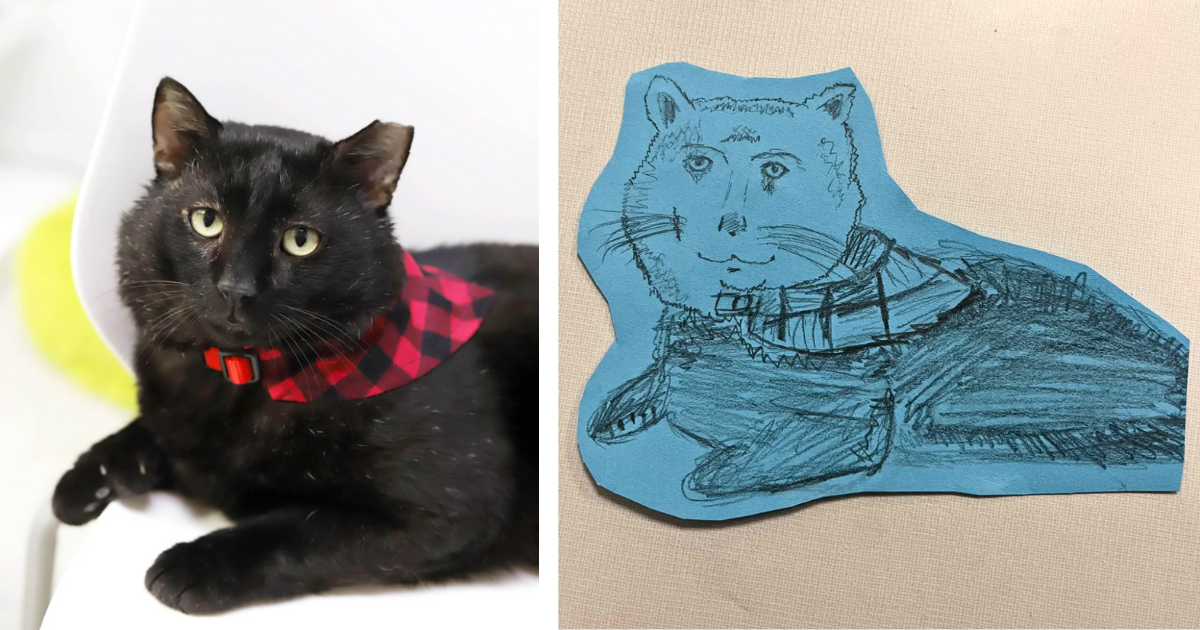 Teacher asks her middle schoolers to draw her cat after winter break exams; the results are pawsitively uplifting and wholesomely whimsical