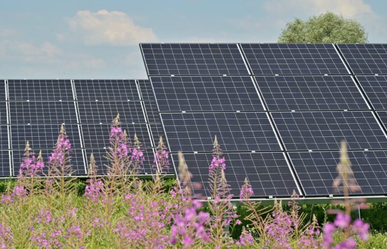 CLASS trade association launches, aims to expand access to community solar and battery storage in California