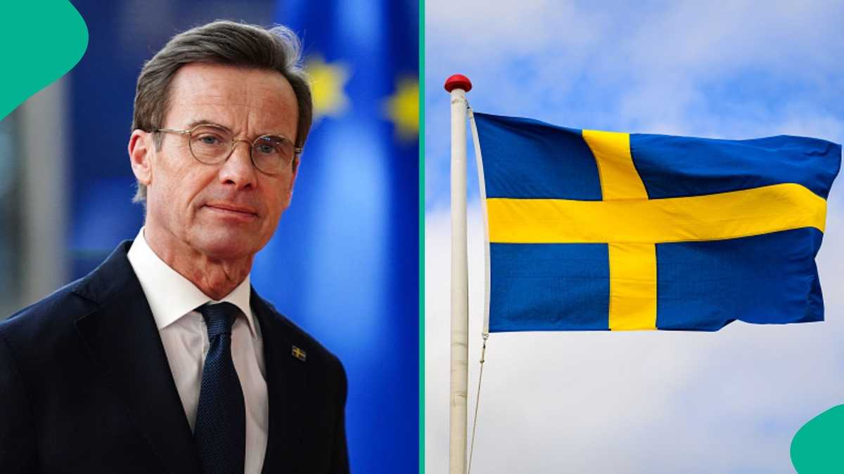Sweden lists 6 categories of international students allowed to work without limits in 2026